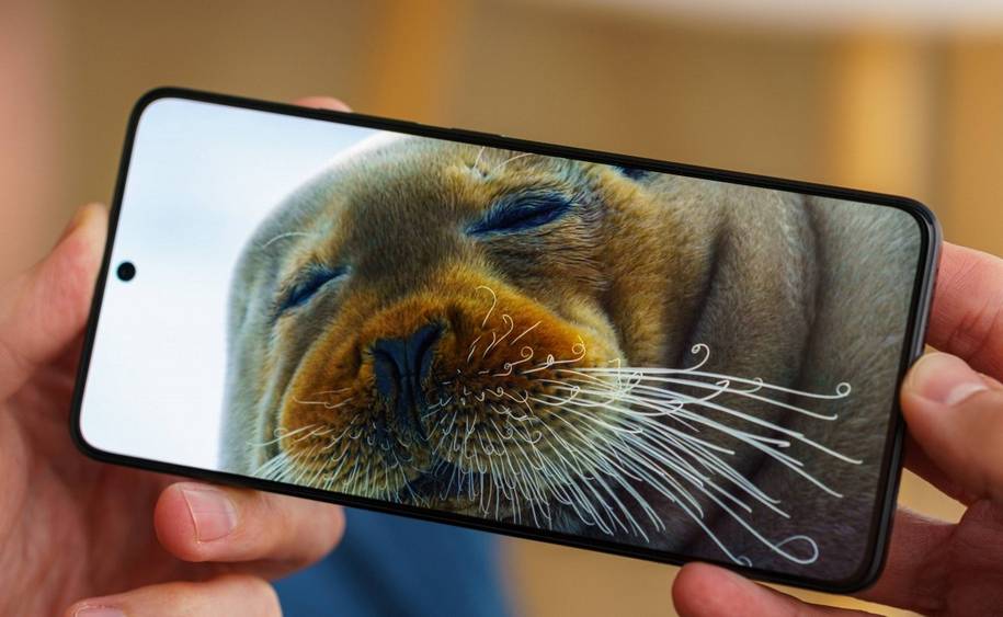 Compare Poko X7 Peru with Poko X6 Pro