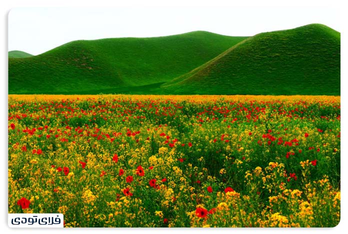 The best time to travel to Turkmenistan Desert