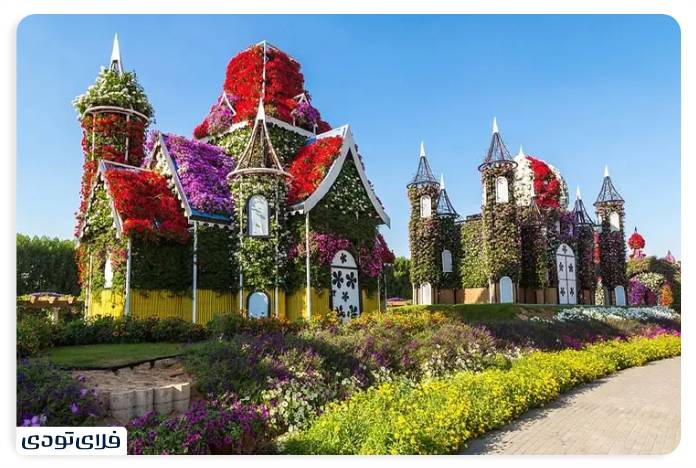 Dubai frame | From the past to the Dubai in a frame
