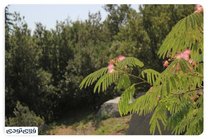 National Botanical Garden of Iran