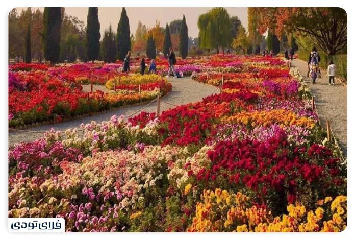 Rose Garden and Four Iranian Gardens