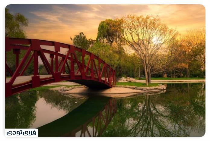 Teaching and demonstration