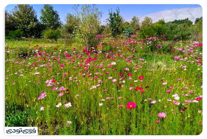 Botanical Garden Ticket Price 