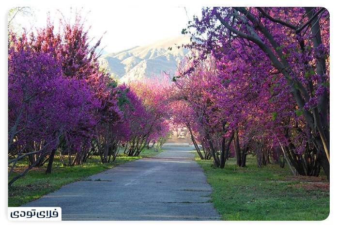 Introducing Tehran Botanical Garden Green experience in the capital