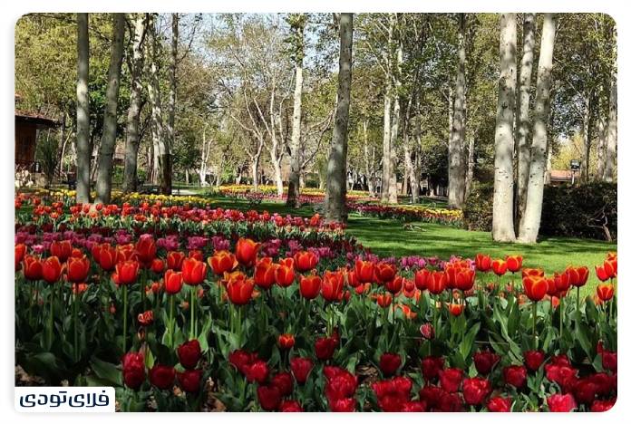 Introducing Tehran Botanical Garden Green experience in the capital