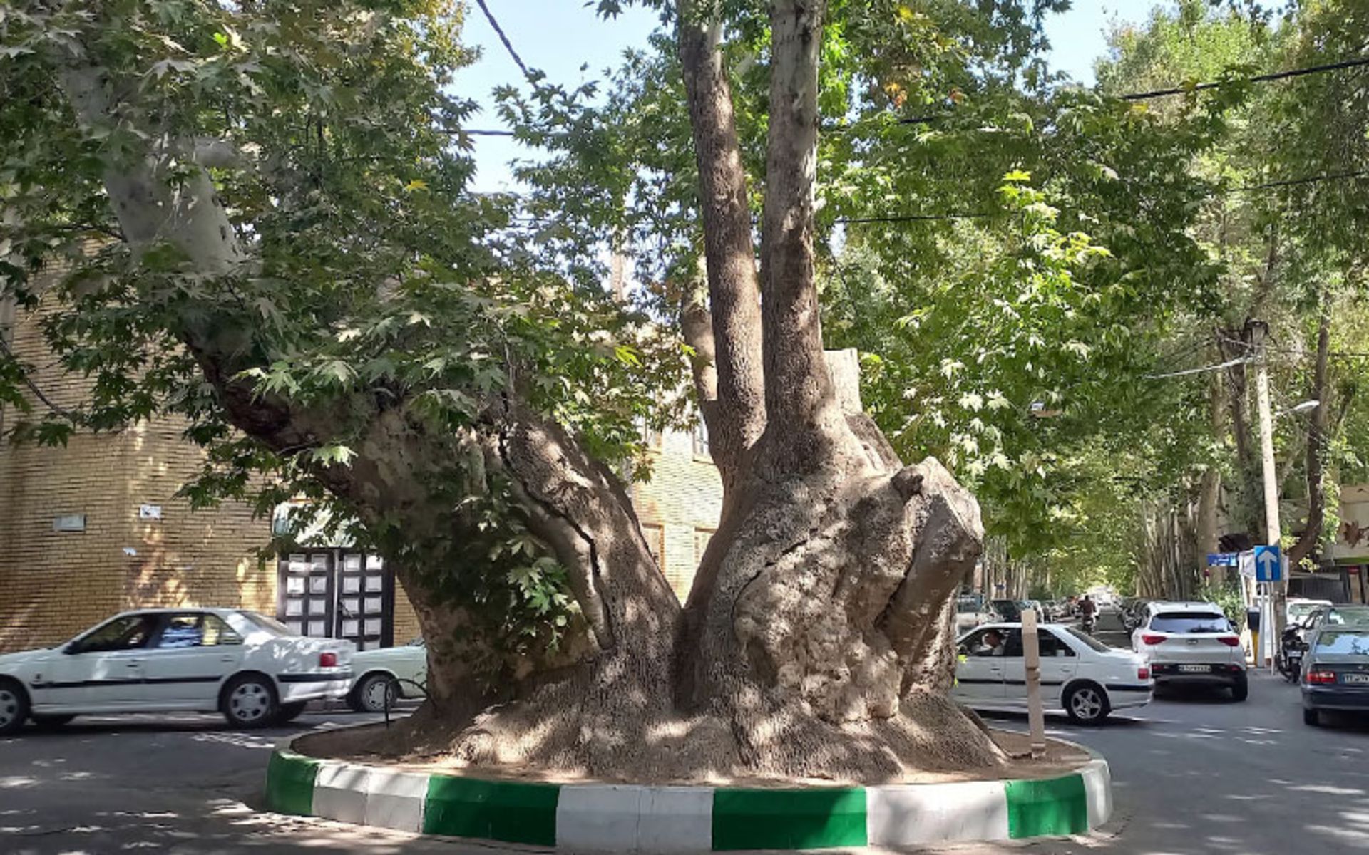 Neighborhood Chenar Square