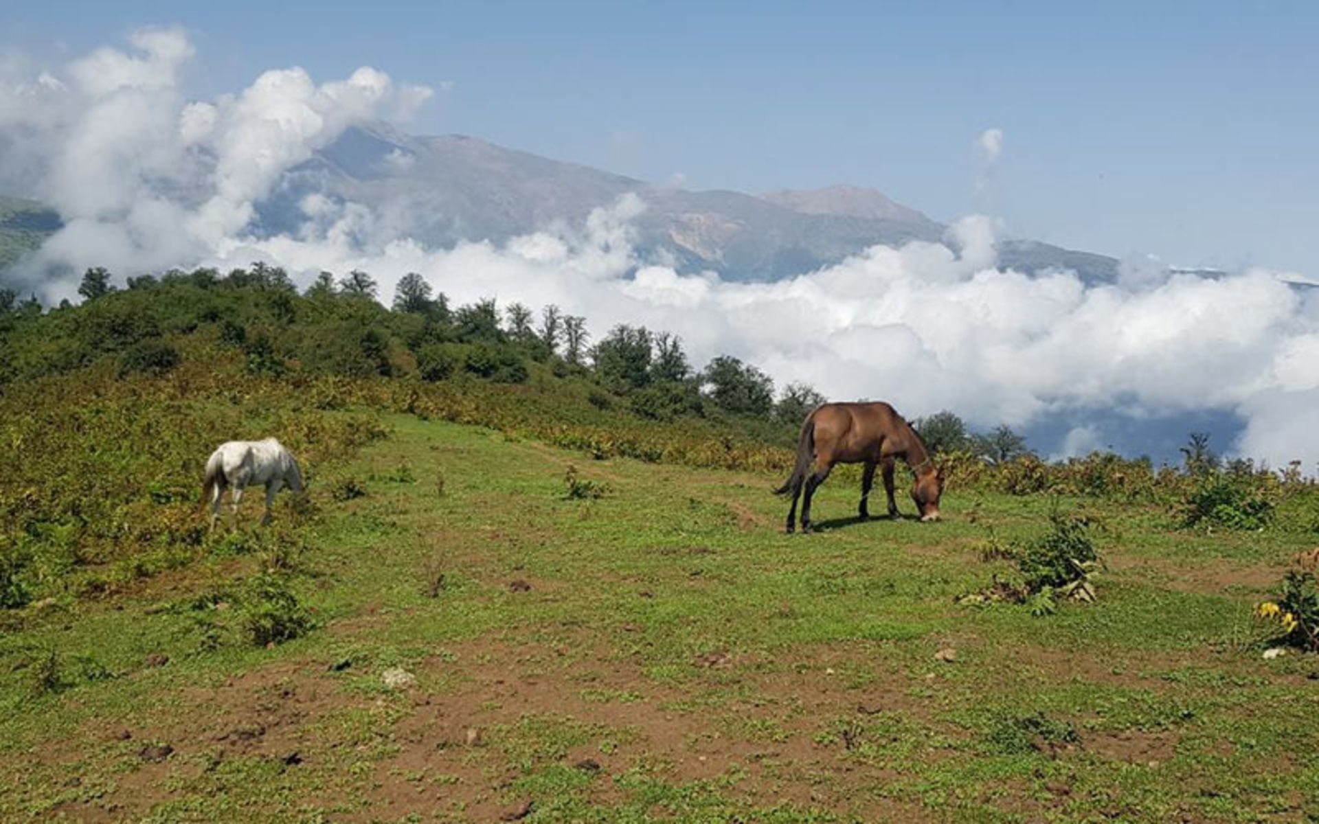 Mazichal Mountain Nature