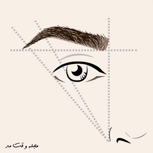 Know the most stylish model of women's eyebrows