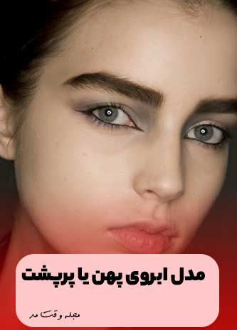 One of the most popular types of women's eyebrow models in Iran