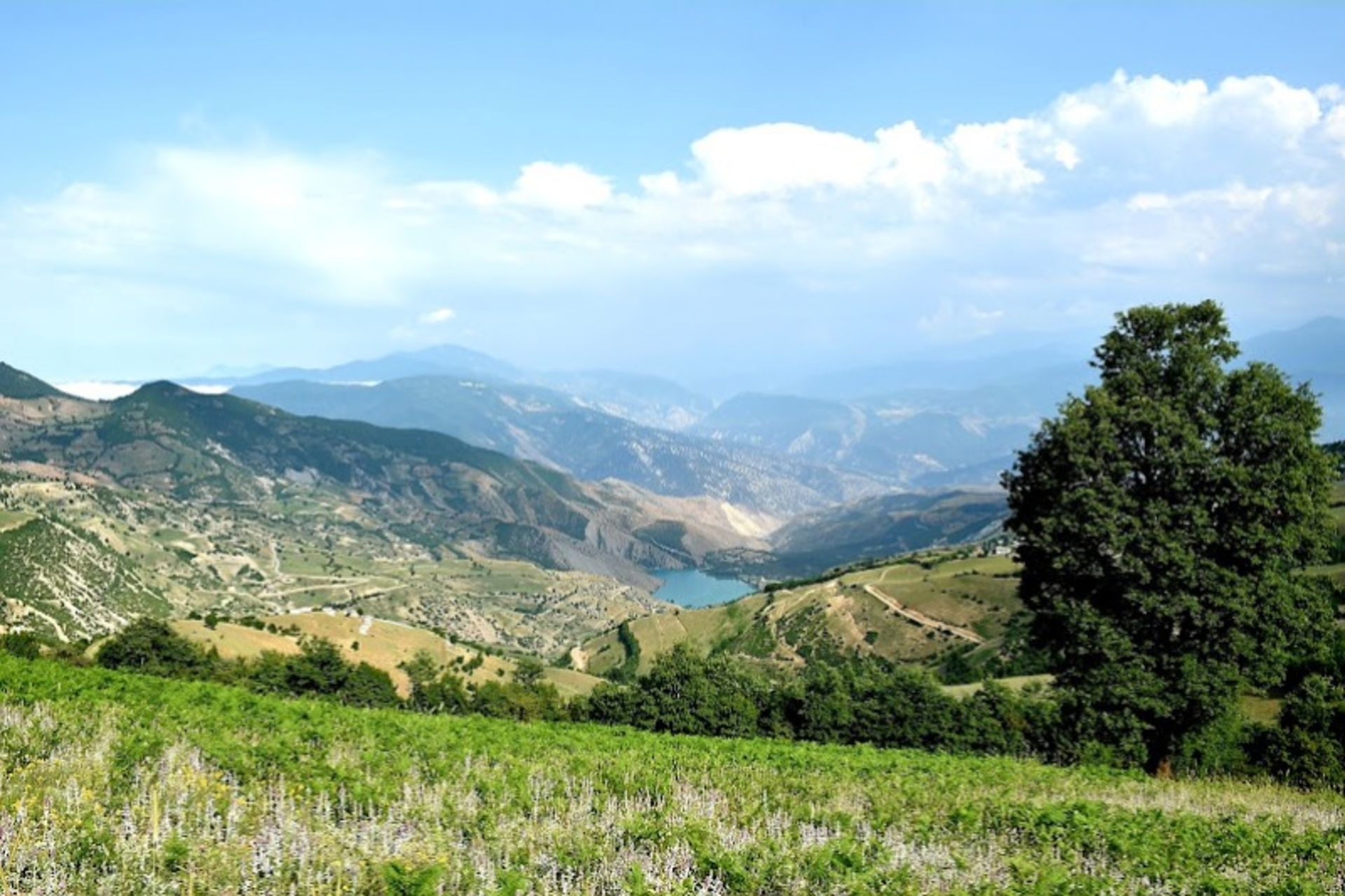 The nature of Lake Welt in the summer