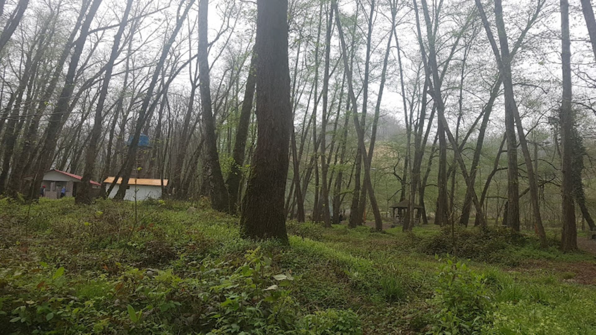 Nature of Fin Chalus Forest Park