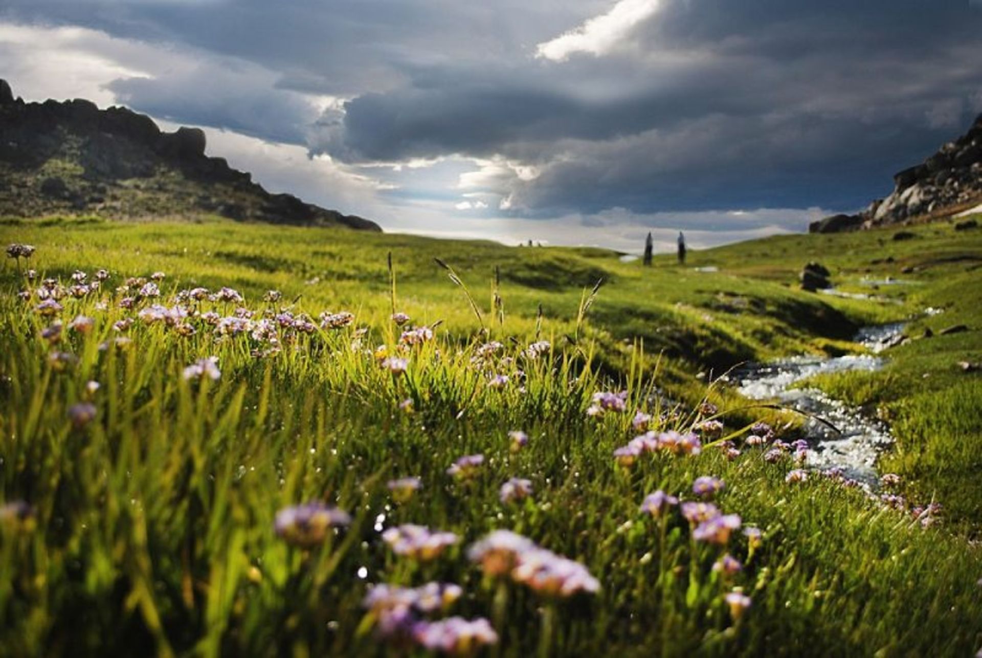 Hamedan Plain Nature
