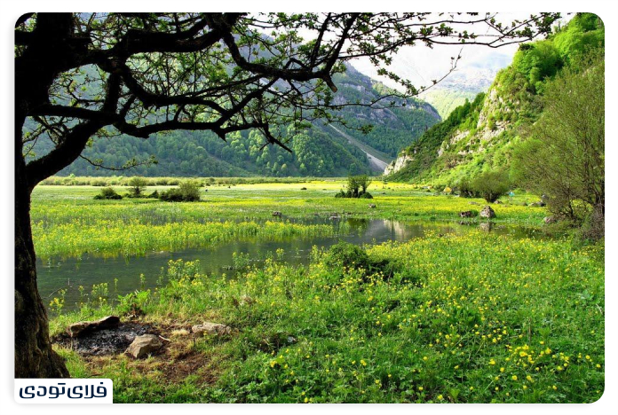 Why are they named the plain with this name?