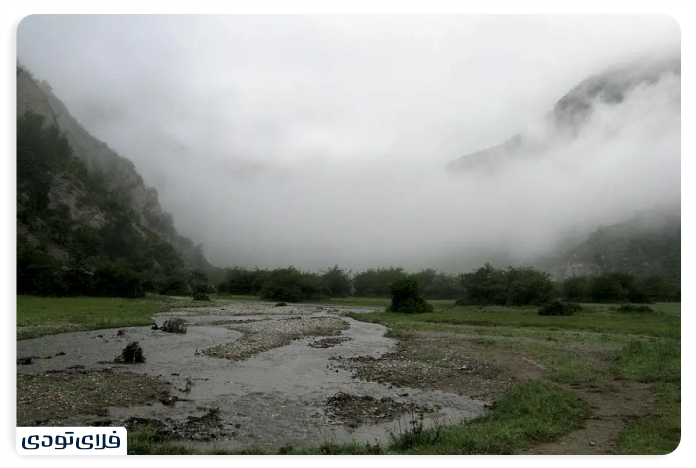 The Plain of the Monet