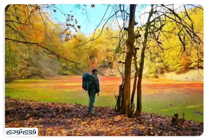 Biodiversity in Hessell Swamp