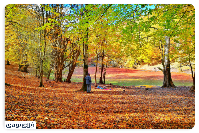Hessell marsh in the fall season