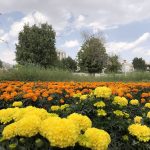 The flower village of the neighborhoods in the spring