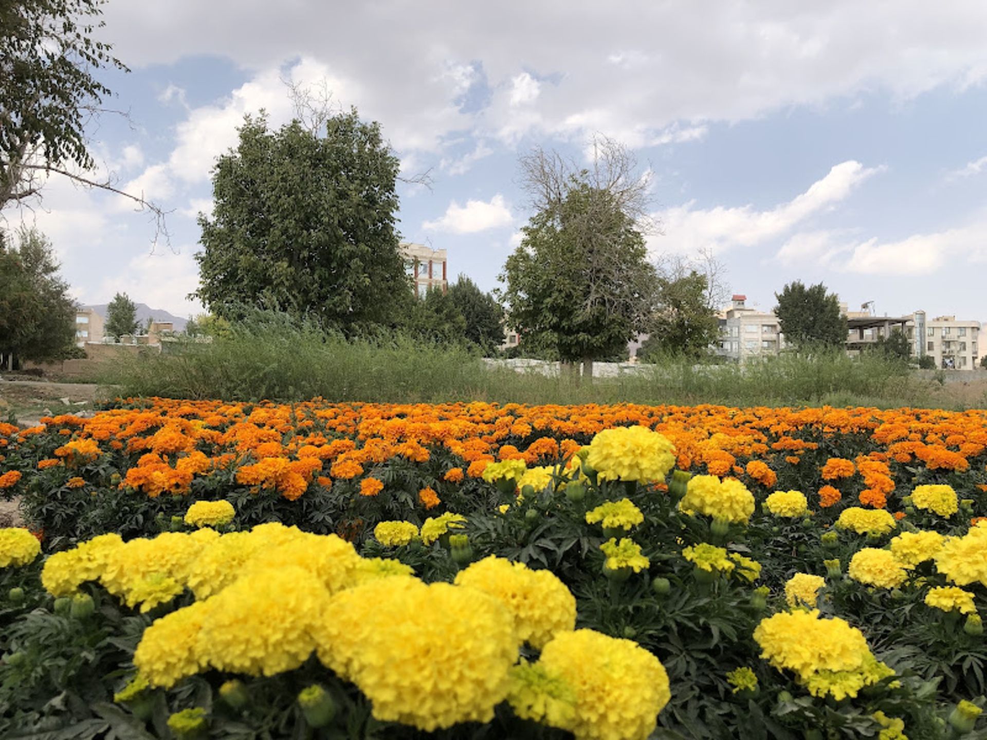The flower village of the neighborhoods in the spring