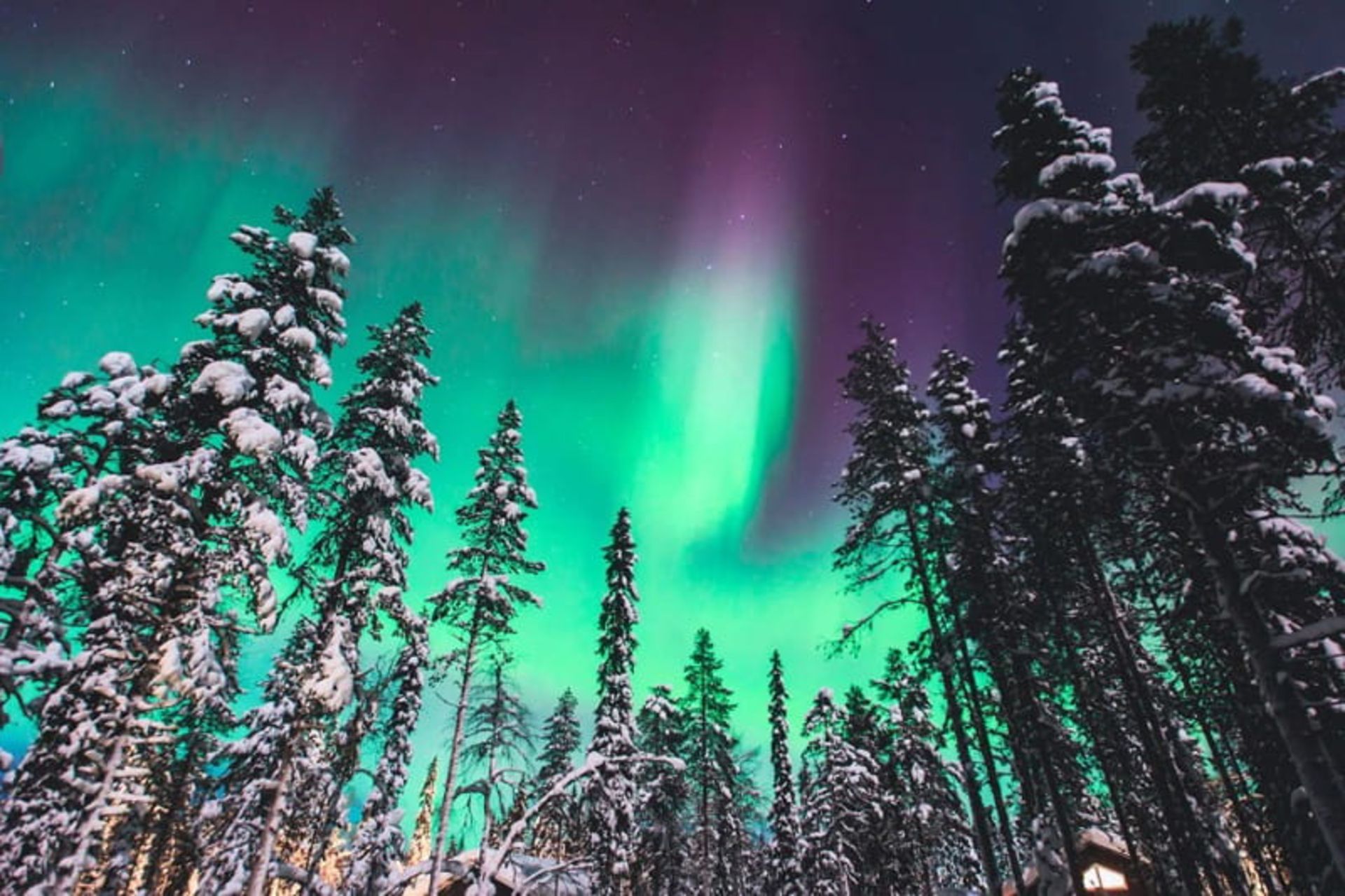 Aurora in the winter
