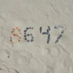 Former FBI chief was accused of trying to assassinate Trump