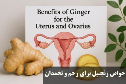 Ginger properties for the uterus and ovary