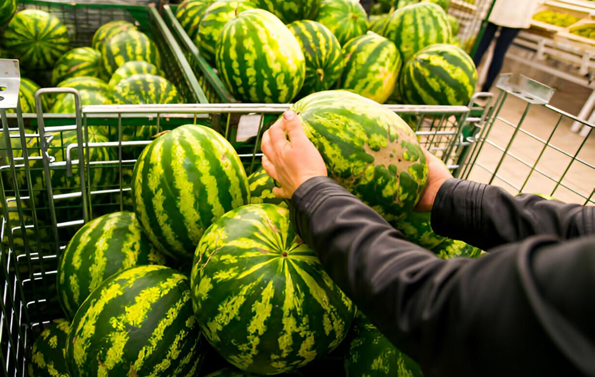 Do not underestimate surface brown lines