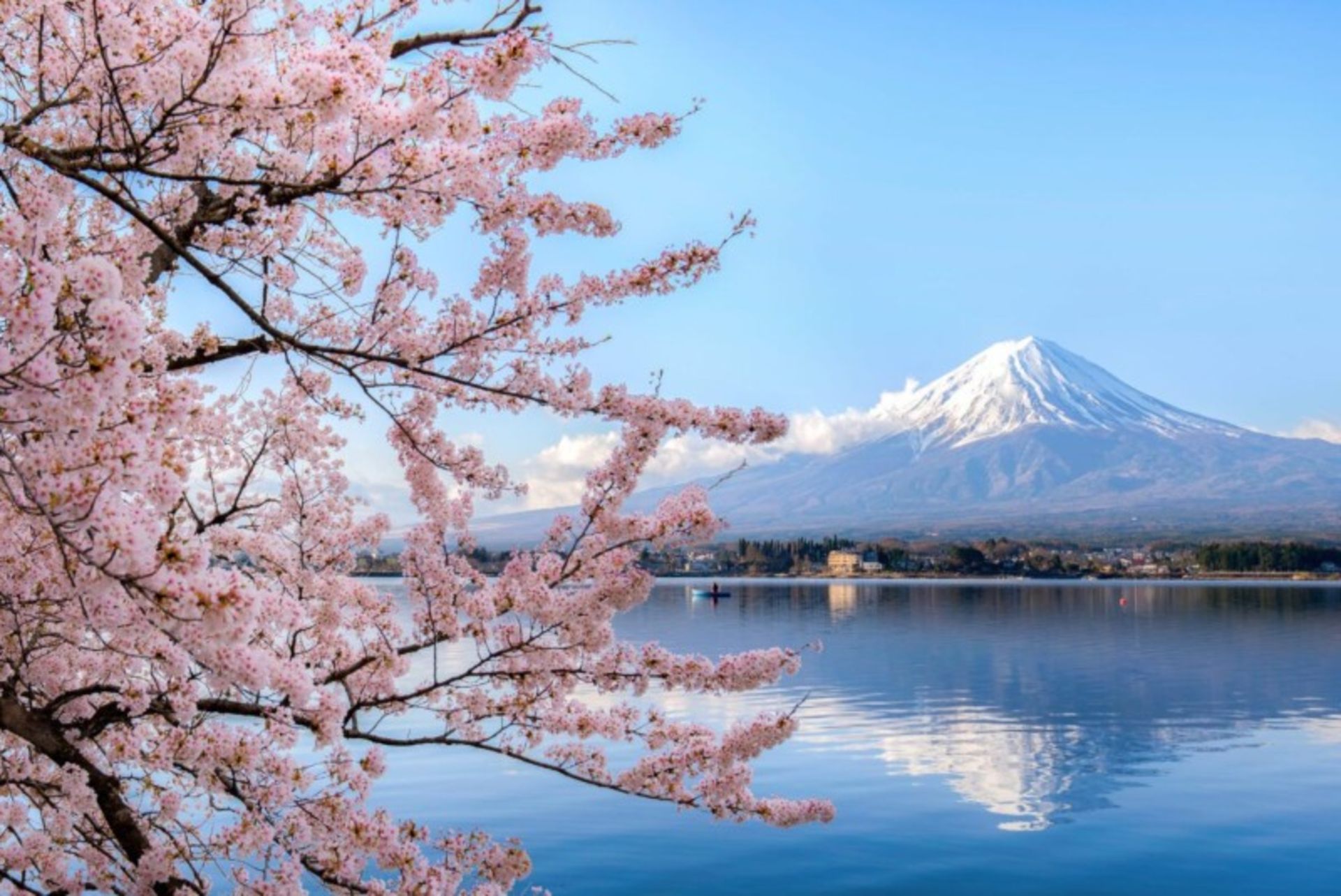 Fuji Mountain in Japan