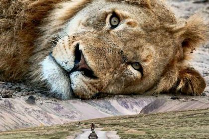 Surreal Photo of Milk Watching Motorcyclists