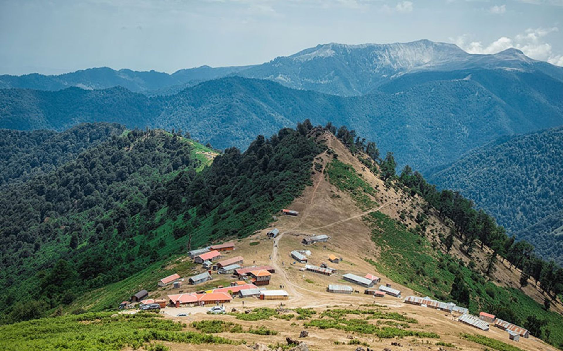 The Nature of the Olsbali Business