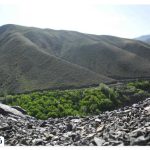 Where is Piranshahr?