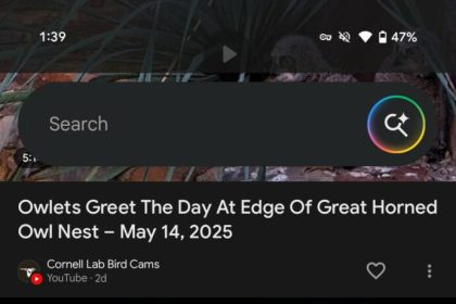 Google Search AI MODE
