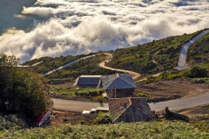 Spring flowers in Filband village