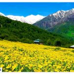 Where is the Plain of the Merit?