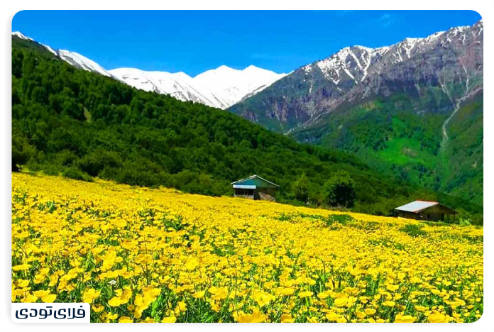 Where is the Plain of the Merit?