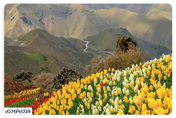 Where is the village of Kandar?