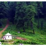 The forest of two thousand three thousand