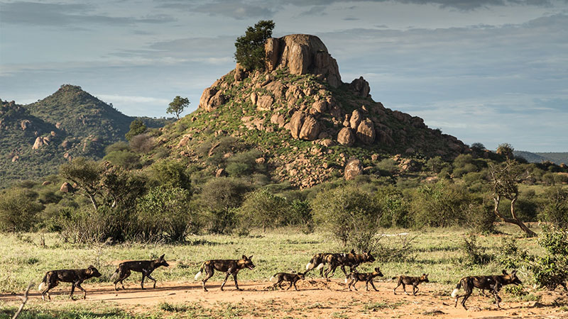 The hills of Ambocele and Chiolo