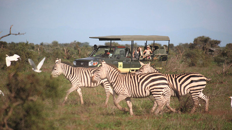 The best time to visit Kenya