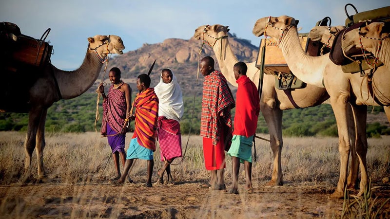 Samburo and Shaba on a trip to Kenya