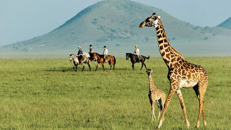 Green Season Journey to Kenya: November to May