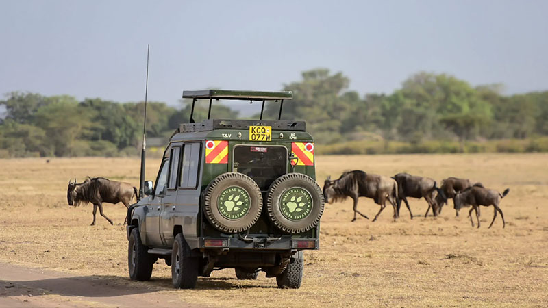 The cost of traveling to the country of Kenya