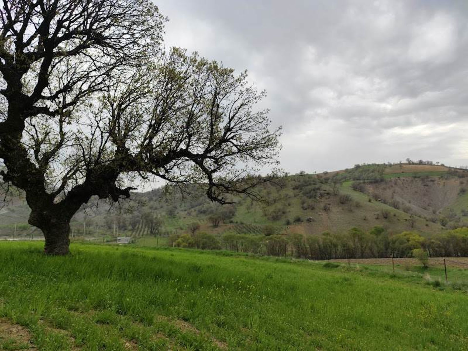 Plain and Mount White Berg village in Kermanshah