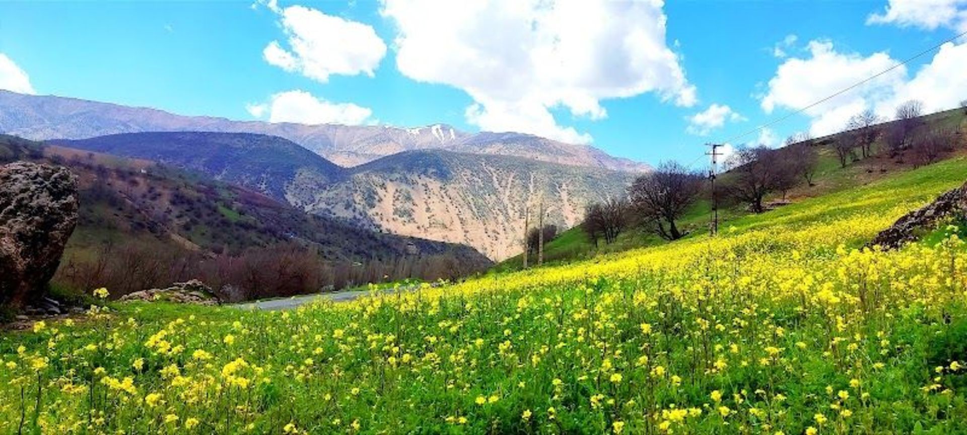 Golzar of White Berg village in Kermanshah
