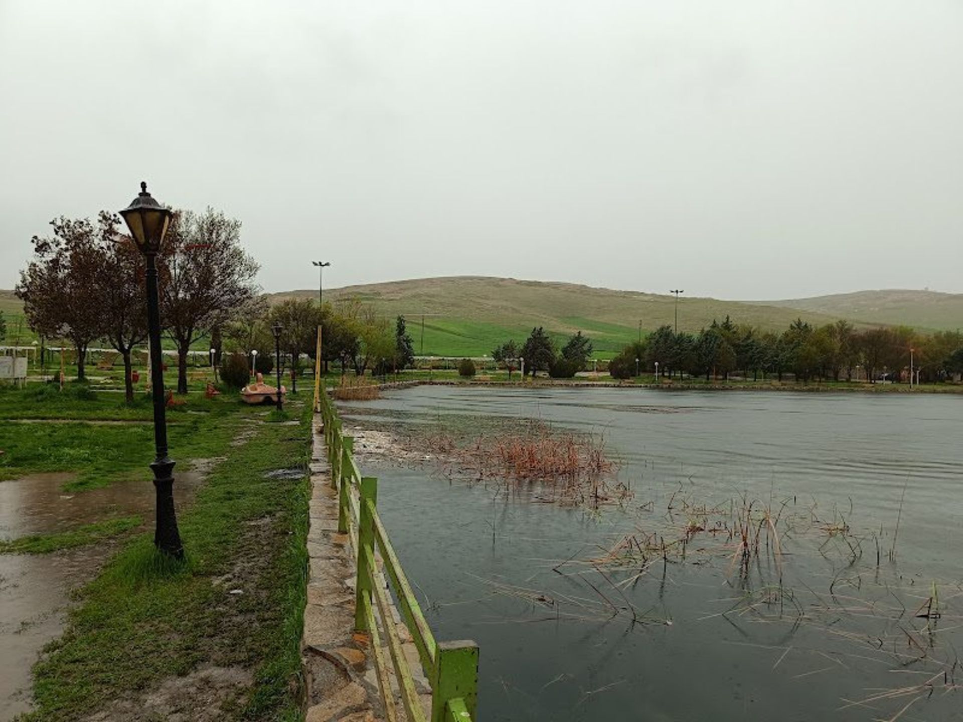 Kermanshah Niloufar Trees and Vegetables
