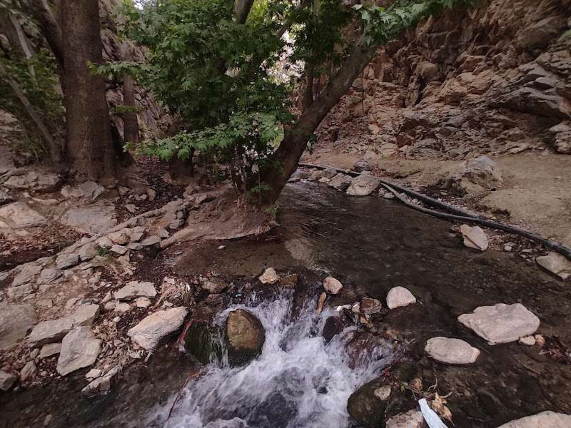 Kermanshah scene river and trees