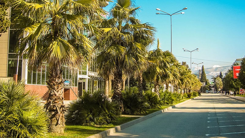 Sochi / Sochi of Russian sights