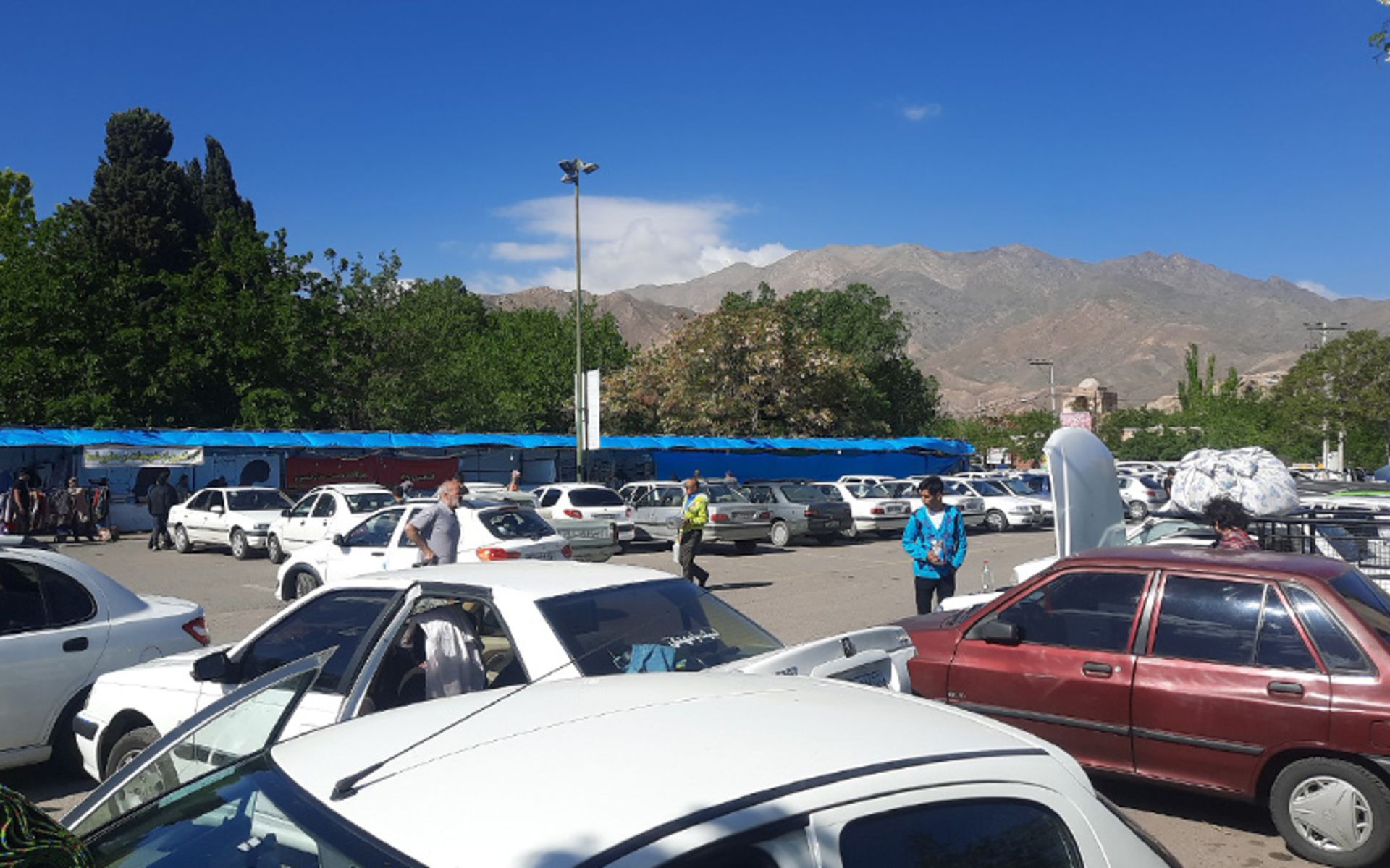 Niasser Hall Garden Parking Cars