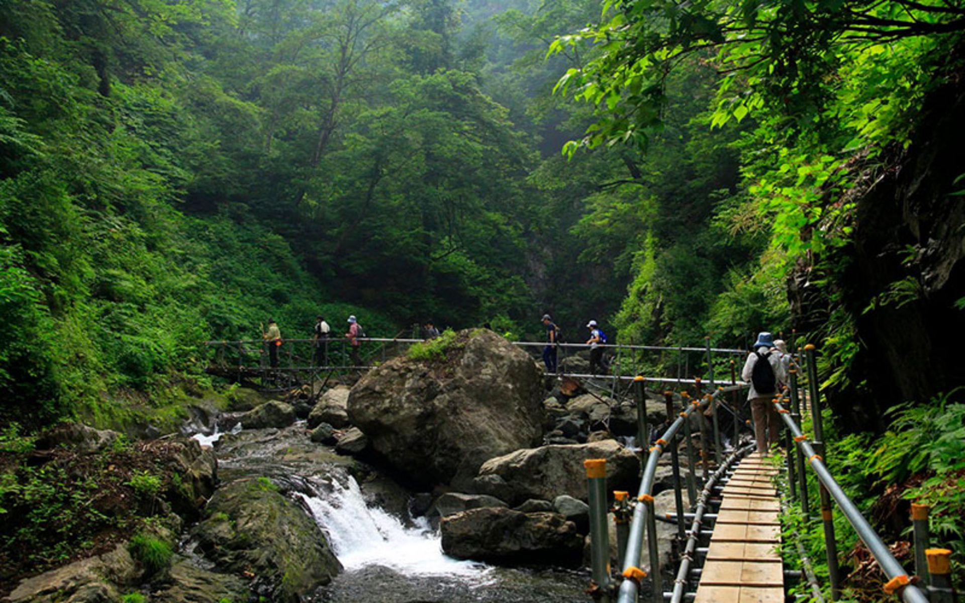 Wooden Walking Route in Sanchi Shirakami Forest