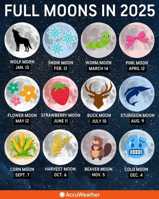 Facts about strawberries on June 1st and 6th in Iran