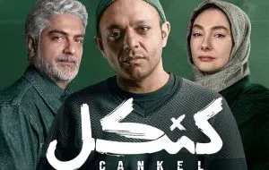 Introducing Starenth platform; A new name on the country's home theater network